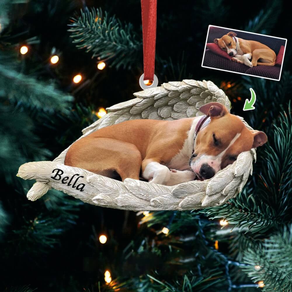 Pet Acrylic Ornament - Pet Lover Gifts - Sleeping Pet Within Angel Wings - Custom Ornament from Photo