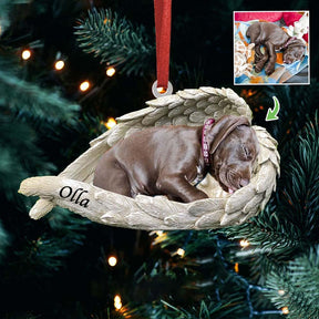 Pet Acrylic Ornament - Pet Lover Gifts - Sleeping Pet Within Angel Wings - Custom Ornament from Photo